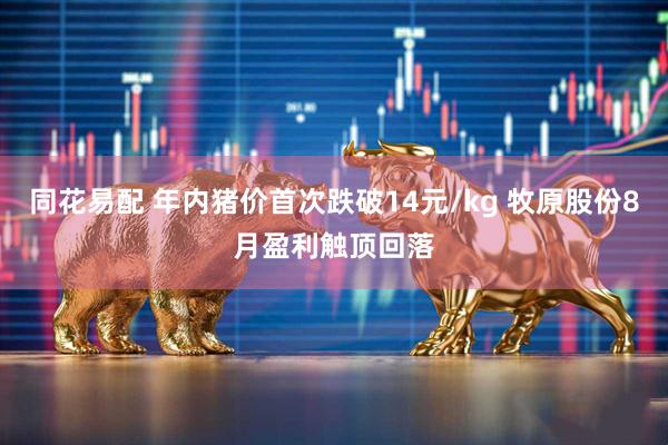 同花易配 年内猪价首次跌破14元/kg 牧原股份8月盈利触顶回落