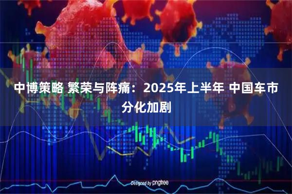中博策略 繁荣与阵痛：2025年上半年 中国车市分化加剧