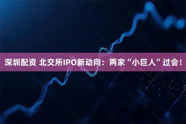 深圳配资 北交所IPO新动向：两家“小巨人”过会！