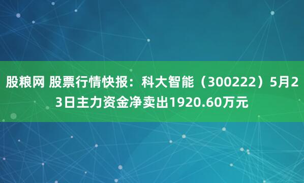 股粮网 股票行情快报：科大智能（300222）5月23日主力资金净卖出1920.60万元