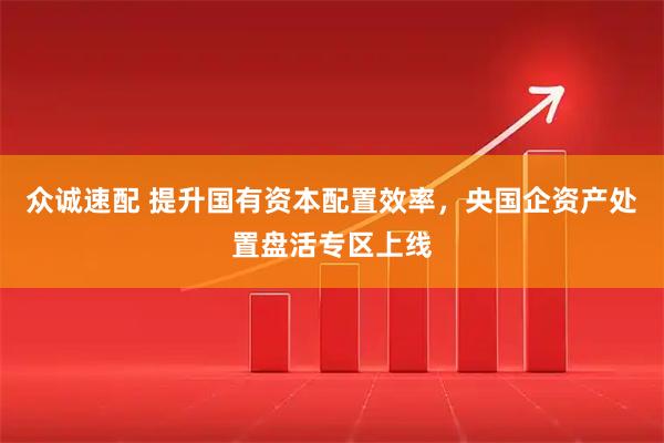 众诚速配 提升国有资本配置效率，央国企资产处置盘活专区上线