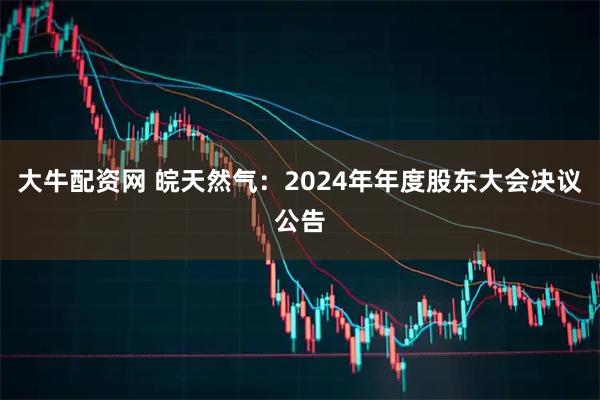 大牛配资网 皖天然气：2024年年度股东大会决议公告