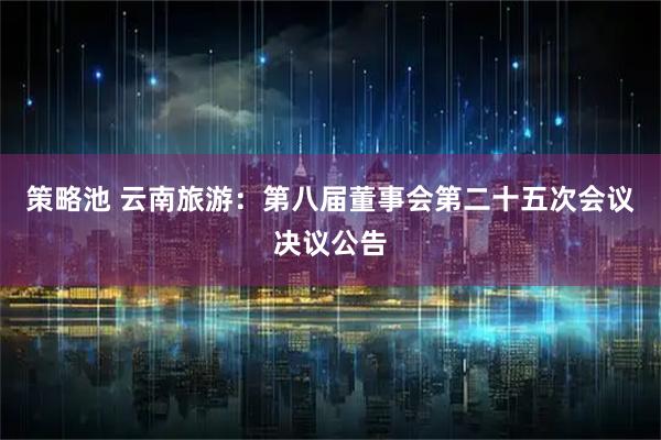 策略池 云南旅游：第八届董事会第二十五次会议决议公告