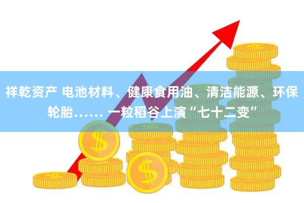 祥乾资产 电池材料、健康食用油、清洁能源、环保轮胎…… 一粒稻谷上演“七十二变”