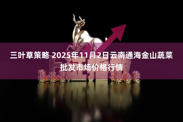 三叶草策略 2025年11月2日云南通海金山蔬菜批发市场价格行情