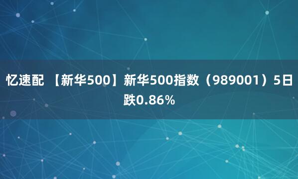 忆速配 【新华500】新华500指数（989001）5日跌0.86%
