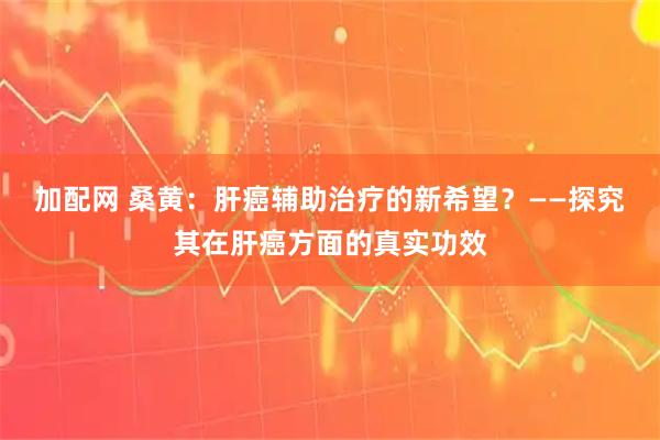 加配网 桑黄：肝癌辅助治疗的新希望？——探究其在肝癌方面的真实功效
