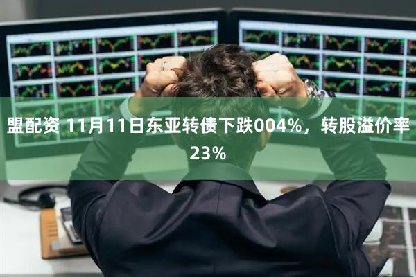 盟配资 11月11日东亚转债下跌004%,转股溢价率23%